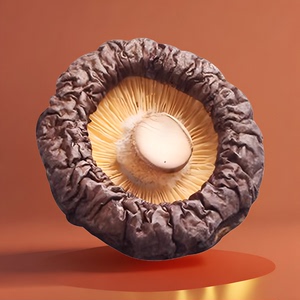 小香菇干货500g散装金钱菇珍珠菇冬菇炖汤特产蘑菇农家干菌子菌菇