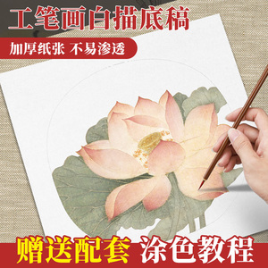 工笔画白描底稿临摹画稿套装手绘花鸟牡丹临摹线熟宣12色国画颜料初学者入门勾线描红线条送涂色教程中国画