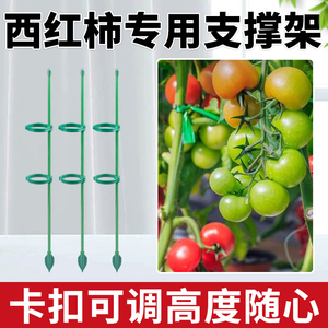 西红柿番茄专用支撑杆园艺花架爬藤支撑杆放倒伏支架防倒固定支架