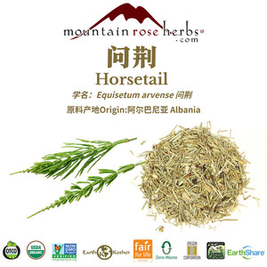 进口mrh有机问荆Horsetail马尾木贼健康皮肤指甲骨骼关节养颜花草