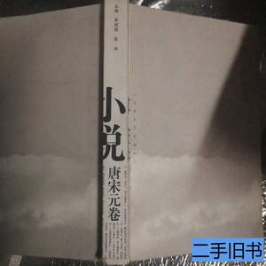 8品中国小说通史（唐宋元卷） 李剑国陈洪着 2007高等教育出版社