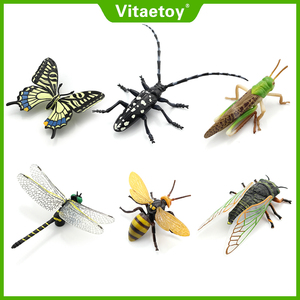 Vitaetoy仿真标本模型虫子昆虫蜻蜓 蝗虫 蜜蜂天牛知了蝴蝶