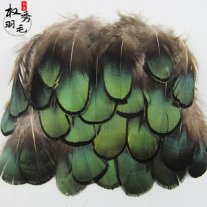 义乌厂家直销精品野禽毛 铜鸡绿片羽毛自然羽毛