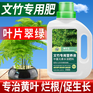 坤宁王文竹营养液专用肥料治黄叶盆栽植物养花通用花肥料盆景氮肥