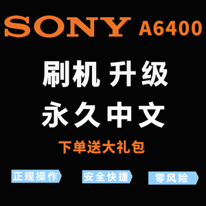 Sony/索尼A6100 A6300 A6400  A6600微单相机刷机刷中文菜单语言