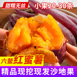 福建六鳌沙地红蜜薯红心番薯5斤漳州糖心小果甜地瓜宝宝辅食香薯