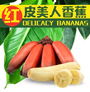 福建土楼红美人香蕉5斤红皮香蕉应季新鲜水果漳州苹果蕉孕妇水果