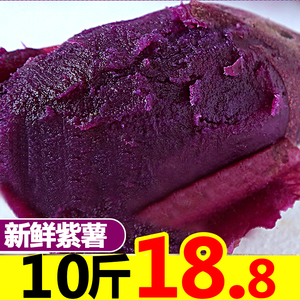 紫山芋苗 淘宝拼多多热销紫山芋苗货源拿货 阿里巴巴货源