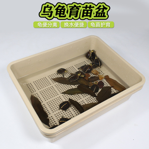 小乌龟育苗盆饲养缸隔离盒发色盒加大白龟缸黄缘龟巴西龟鳄龟通用