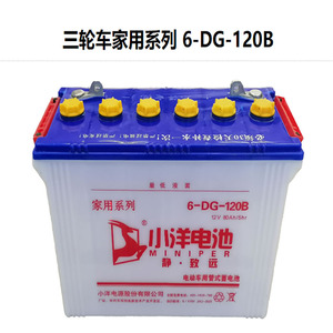 山东小洋电池6DG120A140A150A160A180A电动车专用水电瓶足容量