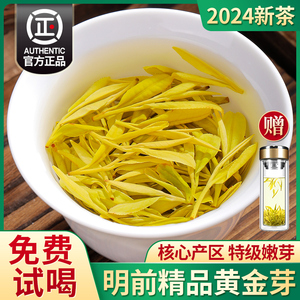2024年新茶黄金芽茶叶特级明前精品绿茶安吉奶白茶春茶旗舰店500g