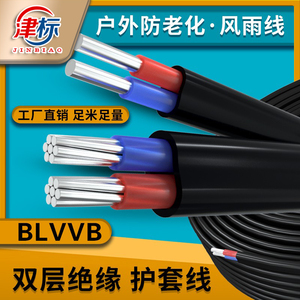 国标铝线电线6 10 16 25平方35铝芯电线2芯BLVVB双芯铝电缆线电缆