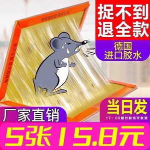 新款粘鼠板鼹鼠夹陈师傅家用强力粘贴鼠胶引诱灭鼠老鼠笼捕鼠神器