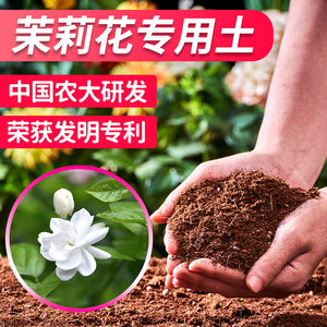 茉莉花专用土茉莉花土盆栽专用土营养土土壤肥料专用肥漫生活