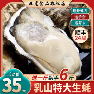 乳山生蚝鲜活10新鲜海蛎子特级大牡蛎带箱5斤海鲜商用50个批发