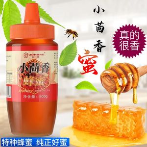 索康小茴香土蜂蜜纯正天然野生自产挤压瓶小包装百山花蜜糖峰蜜