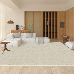 纯色客厅地毯卧室沙发茶几床边毯高级轻奢圈绒日式侘寂风现代地垫