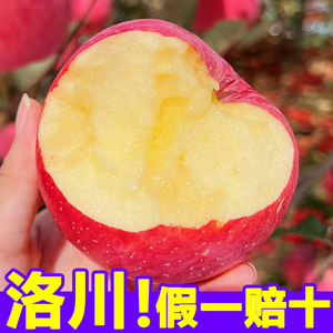 洛川苹果陕西正宗水果新鲜当季整箱时令应季冰糖心鲜果红富士脆甜