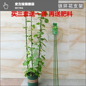 园艺花支柱文竹爬藤架子棚架杆粗细绿铁线植物攀爬支架金钱树阳 阿里巴巴找货神器