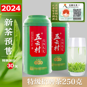 2024新茶信阳毛尖茶茶叶绿茶特级嫩芽散装明前春茶250g礼盒装