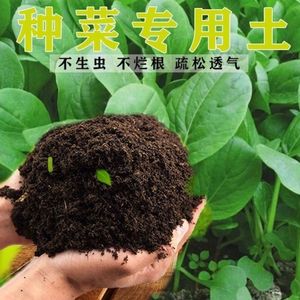 营养土种菜专用土阳台蔬菜土壤有机吊兰石斛花士肉锥昙花花盆花肥