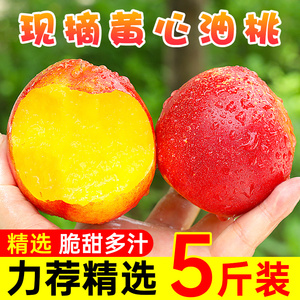 黄心油桃5斤新鲜桃子水果当季水密桃黄肉孕妇现摘蜜脆桃整箱包邮