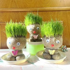 草头娃娃创意小盆栽桌面可爱植物趣办公室儿童水培绿植长草娃娃