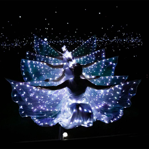 演出发光翅膀荧光蝴蝶舞披风民族舞台服装肚皮舞斗篷芭蕾舞表演服