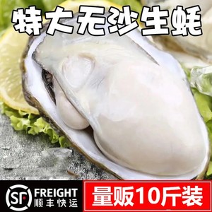 [10斤大箱]生蚝鲜活特大号XXXL号带壳新鲜牡蛎肉海鲜海蛎子