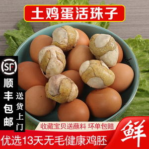 40枚烧烤毛蛋鸡胚蛋毛胚蛋13天新鲜开袋即食五香土鸡蛋活珠子熟蛋