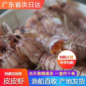 带膏皮皮虾全母鲜活冷冻特大带膏带籽虾即食濑尿海虾海鲜水产广东