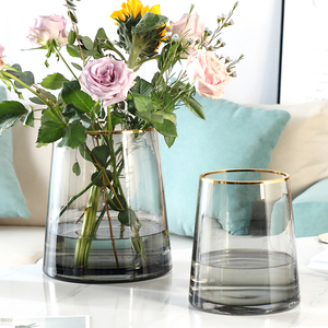 轻奢 描金T型玻璃花瓶透明插花水培百合家居软装客厅摆件花器北欧