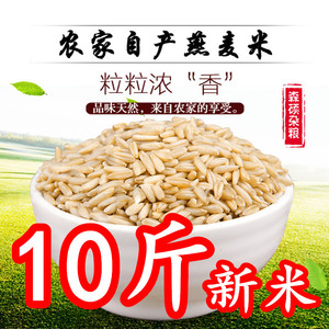 新货生燕麦米农家自产内蒙古五谷杂粮米10斤散装包邮