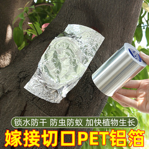 盆景专用锡箔纸自帖胶带封口jiao苗木嫁接稀铂纸树木伤口愈合贴植物树枝纸盆栽刀口封口胶自粘果树嫁接膜园艺