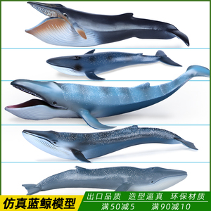 新款仿真蓝鲸玩具海洋动物模型海底生物实心塑胶儿童科教玩具礼物