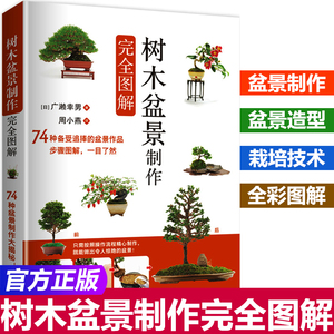 盆栽书籍盆景制作 盆栽书籍盆景制作品牌 价格 阿里巴巴