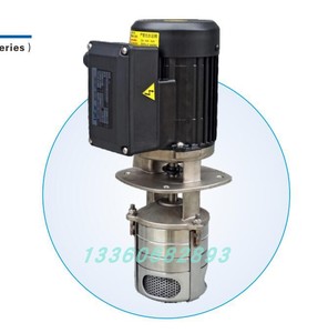 睿嘉LUIKAR侵入式循环泵LDPB1V-30不锈钢水冷机加工中心冷却水泵