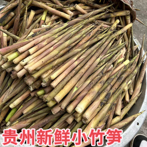 贵州特产新鲜野小竹笋生山水竹笋春笋花笋尖现挖带壳发货500g包邮