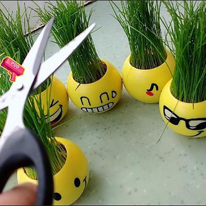 浇水长草的植物娃娃小花农盆栽植物学生DIY迷你可爱长草娃娃草头