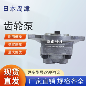 日本 SHIMADZU 岛津 液压泵 齿轮泵 YP10-3R424 079YP15A16