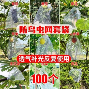 水果套袋防鸟防虫专用网袋葡萄无花果瓜果枇杷草莓杨桃子保护袋子