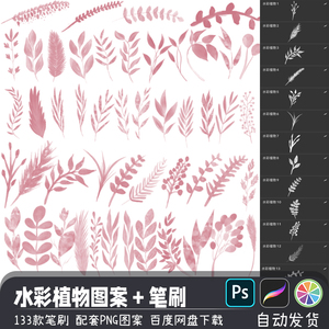 水墨水彩植物花叶造型贴图PS/SAI2笔刷预设procreate画笔绘画素材