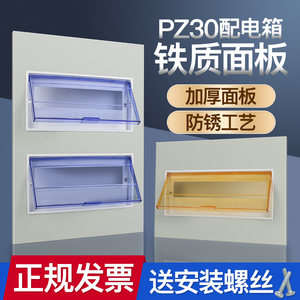 PZ30配电箱盖子10/12/15/18回路铁面板明装盖子家用面板