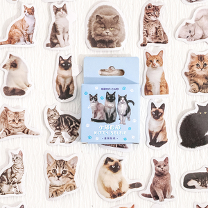 小猫自拍盒装贴纸 可爱猫咪装饰小图案不干胶贴画DIY手账相册装饰贴图