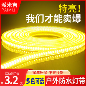 led灯带220v三色客厅吊顶家用彩灯室外超亮装饰户外防水自粘灯条