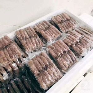 [1840g即食生冻皮皮虾肉]冷冻虾爬子濑尿虾虾姑肉琵琶虾剥皮虾肉