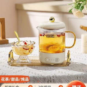 。养生壶2023新款单人办公室煮茶神器家用煮一人小型花茶壶玻璃电