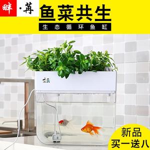 阳台鱼菜共生系统小鱼缸免换水生态循环净水小型阳台蔬菜种植箱架
