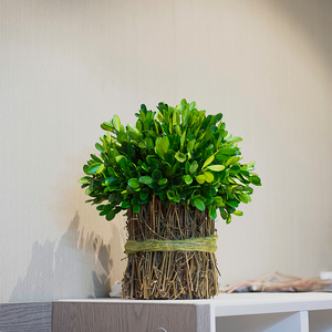 永生植物花卉室内干花客厅摆设藤条真花天然风干桌面绿植摆件装饰