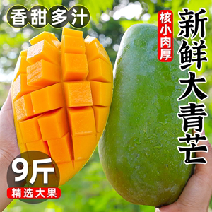大青芒芒果10斤青皮金煌新鲜水果越南热带甜心大芒果整箱当季包邮